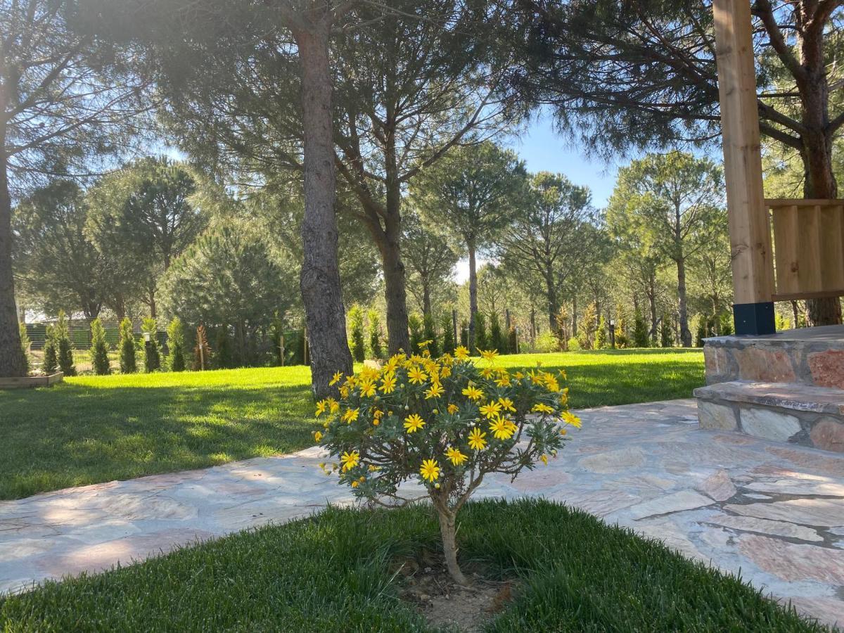 Elyada Otel Ve Bag Evi 8 Yas Ustu Bozcaada Exteriör bild